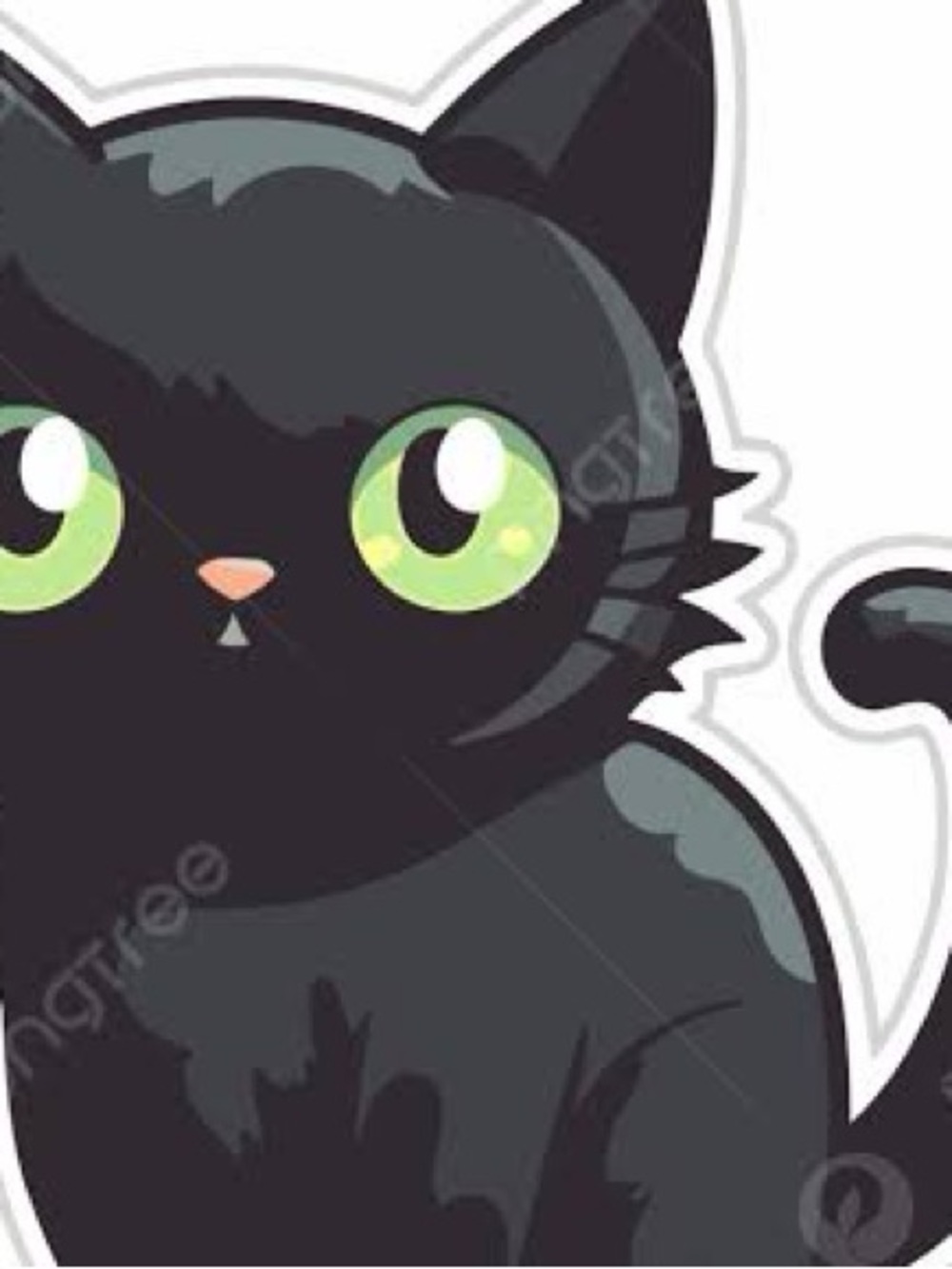 BLACK CAT BUNDLE